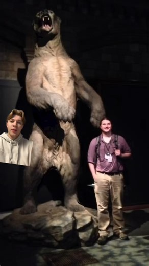 North 02 on Instagram: "The Animals of North America Were Terrifying! #history #paleontology #ancienthistory #science"
