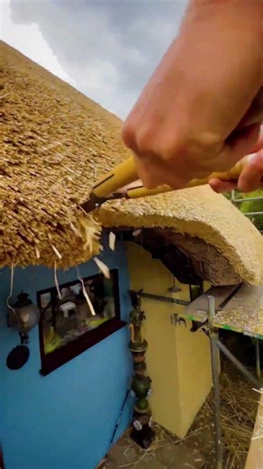 Traditional Straw Roofs|| #shorts #tamil #tamilvoiceover #twinfacts