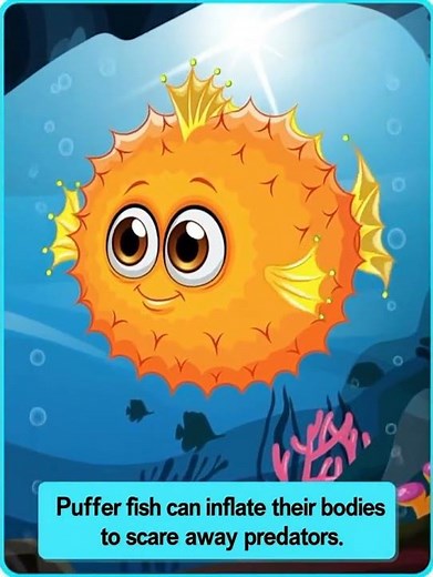 Learn About Puffer Fish for Kids 🐡 | Fun Ocean Animal Learning Video for Preschool & Kindergarten