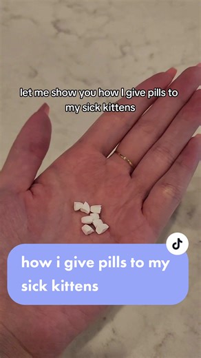 a neat trick I learned through the years to more easily give pills to my sick kittens #kitten #thekittenrescueproject #kylie #kendall