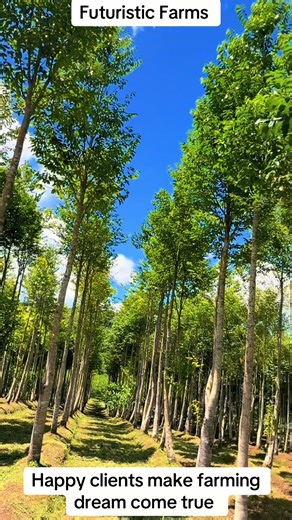 Futuristic Farms (@futuristicfarmsfiji)’s videos with original sound - Futuristic Farms