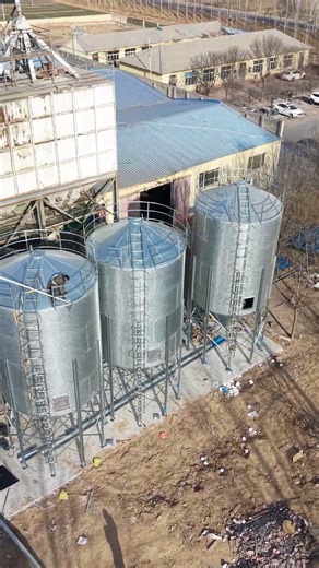 3×80T Silo Installation +Bucket Elevator | On-Site Construction
