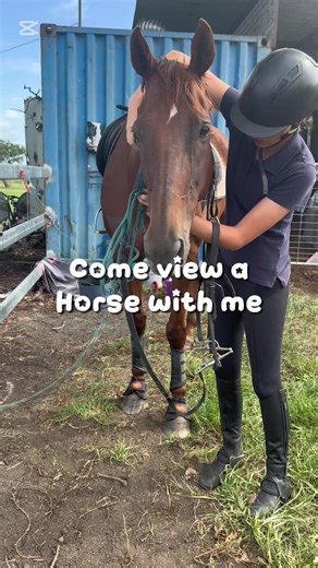 Explore Horse Riding Adventures in Australia