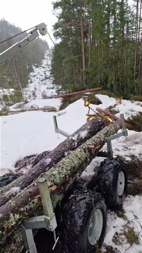 Hail Storm While Loading logs #hailstorm #firewood #cfmoto