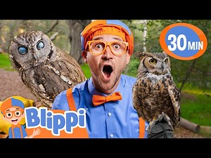 Blippi Meets Owl Friends! | BEST OF BLIPPI TOYS | Educational Videos for Kids - Videos For Kids