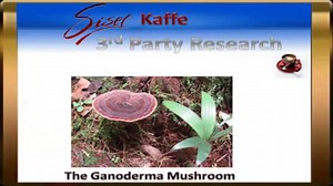 The Sisel Kaffe Business Opportunity Video 2 Of 5