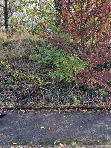 Sud-access Concept-store Montelimar on Reels