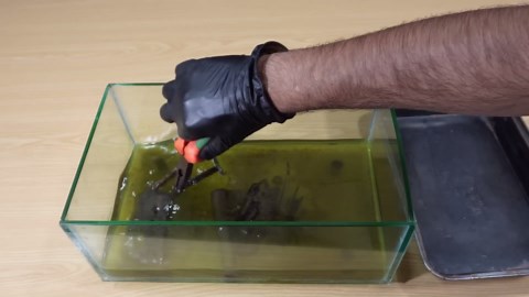 Full Restoration of a German Single Shot Pistol – Witness the Complete Transformation Step by Step!