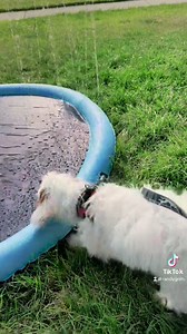 18K views · 1.5K reactions | Ali’s story | Randy Grim | Facebook