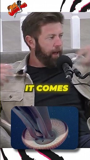 Rare 30ft Long Phantom Jellyfish Spotted