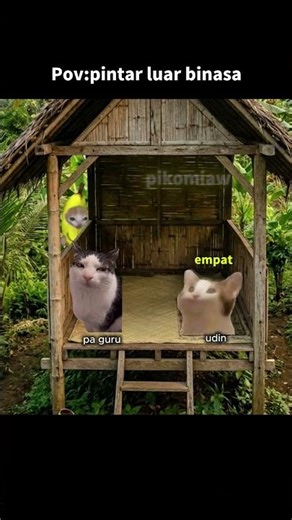 Anak cerdas #memekucing #kucing #kucinglucu #kucingmeme #lucu #fypシ #fyp #meme