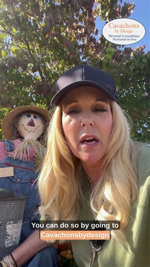 Cavachon Lovers Unite: Monthly Puppy Updates & Training Tips! #CavachonLove #DogTraining
