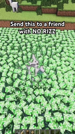 Minecraft: No Rizz #shorts