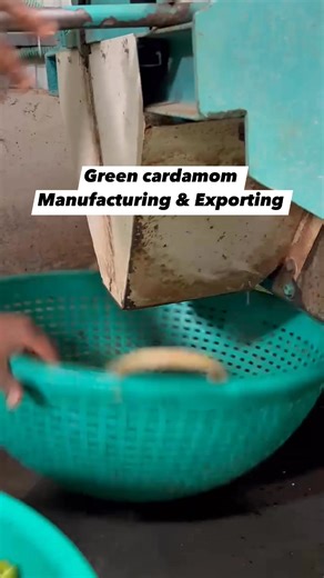 Indian cardamom wholesale Shipping worldwide wa.me/919400431033 | Kayplab spices