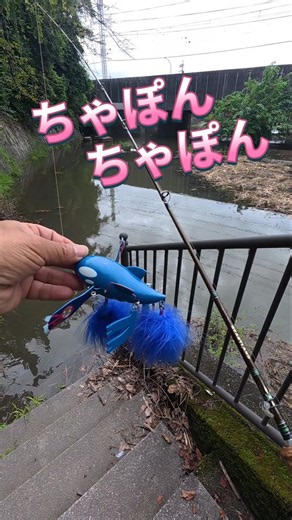 2026.9.17何故か一気に増水中！大谷川ナマズ釣り！ #fishing #釣り #catfish