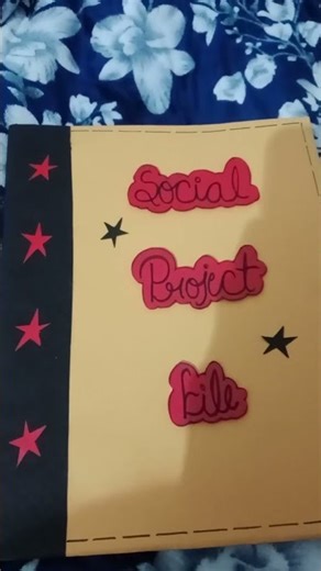 Social X H.S.C# Home science#Bluestar cinema #Sk ki duniya #