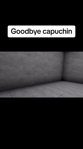 Goodbye Capuchin: Reflecting on Last Adventures in VR