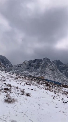 Playing cards flying far away, visually measured about 50 meters #Growth plan