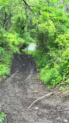 #wr400 #fypシ゚viral