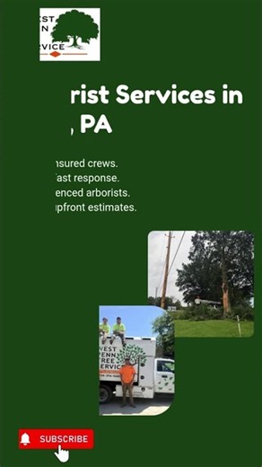 Arborist Services in Irwin, PA | West Penn Tree Service