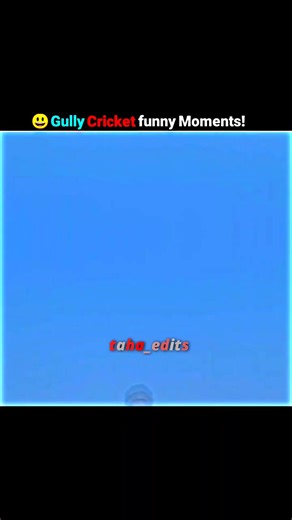 Hilarious Gully Cricket Moments Compilation