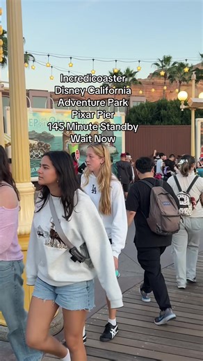 Incredicoaster: Disney California Adventure Park Experience