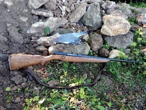 The .410 Mossberg 183 KE Shotgun