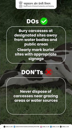 Safe Disposal Prevents Disease #dairyfarming