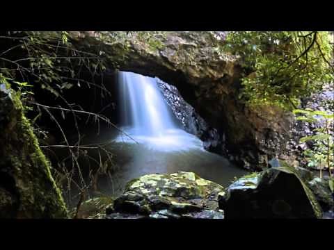 Natural Bridge/Arch at Springbrook National Park, Gold Coast
