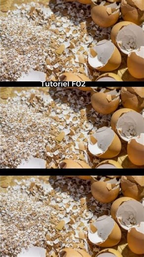 Coquilles d'Œufs + Vinaigre = Engrais Calcium Miracle (Tuto #DIYThingaDisa)