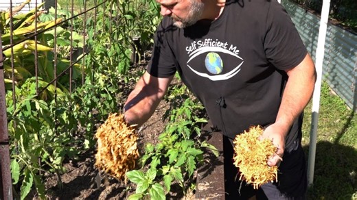 What happens when you use mulch in the garden?