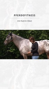 📆 Muskelaufbau, Ausdauer oder Fitness – was steht bei eurem Pferd auf dem Trainingsplan? 🧐 Ihr wollt euer Pferd gezielt kräftigen und fit halten? Dann haben wir den perfekten Kurs für euch! 🎉🔥 In unserem Kurs „Muskelaufbau und Pferdefitness: Übungen für jeden Tag“ zeigt euch Katrin Obst, wie ihr mit kreativen und effektiven Übungen die Muskulatur eures Pferdes stärkt und seine Fitness verbessert. 🏋🏽 💡 Von Pferde-Fitness-Check über Crossfit für Pferde bis hin zu Step Aerobic und Pferde Yog