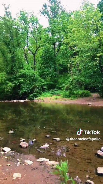 Intuitive Development for Empaths and Lightworkers