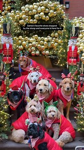 81K views · 2.9K reactions | Merry Christmas from Santa’s favorite elves on The Stoop! 殺✨ | Stoopandthecity | Facebook