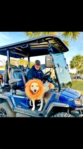Our last Saturday CampOWeen was awesome. Thank you to our guests! They dressed up, decorated, dressed up their pets, painted pumpkins ,crafted, joined the hayride and gave out candy. We had a blast! #BarefootRVResort #barefootrvresortnmb | Barefoot RV Resort