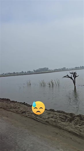 #qatar #uae_bd #pakistani_tik_tok_viral #dubai #uktiktok