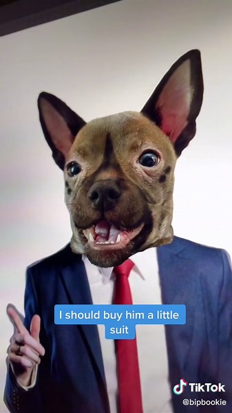 Haida and Aggretsuko-inspired Dog Transformation