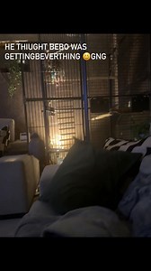 He thought I was feeding bebo goodies 🐦👈🏻 | Kelo the African Grey