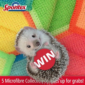 19K views · 22 reactions | Have you spotted the new bright colours on our Microfibre Collection range? <3 They're so hypnotising… :D Head on over to our online shop for a chance to win a Microfibre Collection bundle in the new vibrant colours :) https://www.spontex.co.uk/competition-1/ | Spontex UK | Facebook