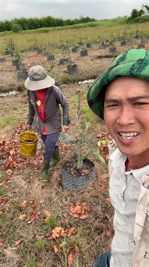 Chịu học hỏi là được