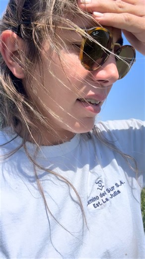 Tina on Instagram: "🌿 ¿Qué es el melilotus? El melilotus es una leguminosa forrajera muy usada en campos ganaderos. Aporta proteína, fija nitrógeno al suelo y ayuda a mejorar la estructura y fertilidad del suelo, especialmente en ambientes más difíciles. En este lote, sin embargo, vemos algunas plantas muertas entre otras que están bien 🤔. Si alguien sabe a qué se puede deber (suelo, salinidad, plaga, enfermedad, helada, etc.), ¡los leo en los comentarios! 🌿 What is melilotus? Melilotus is a 