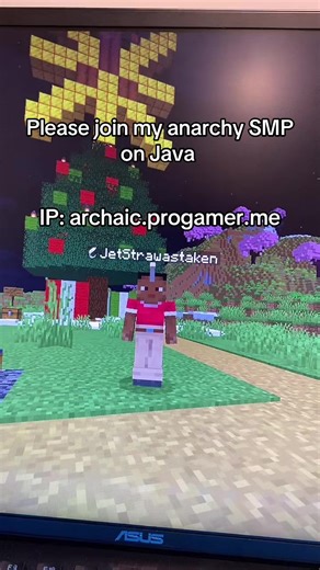Discord in bio #anarchy #minecraft #SMP #java