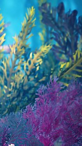 Surf, hike, dive, fish, explore. Welcome to Lord Howe Island, Australia's best kept secret. | get lost Magazine