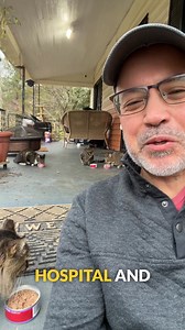 Post- call priorities: cats first #feralcats #relatable #blessings #cats Be aware fake accounts using my likeness are making responses on these videos. I will never ask for anything or respond with anything inappropriate. The fake accounts have some of my videos and photos and look valid. | Michael Litrel, MD, FACOG, FPMRS