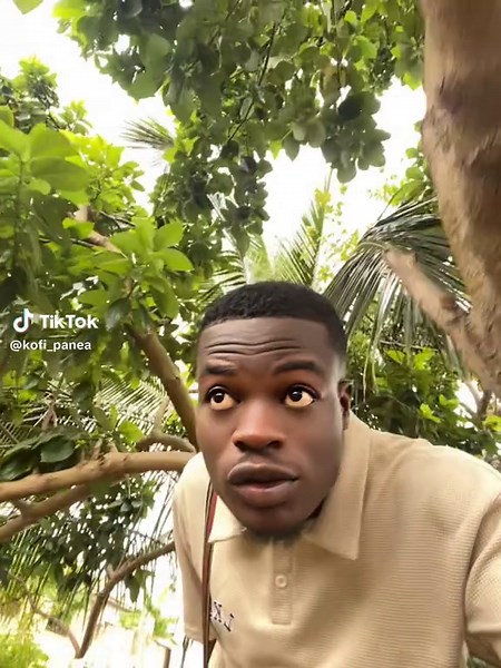 Ghanaian Traditional Wedding Highlights and Dances