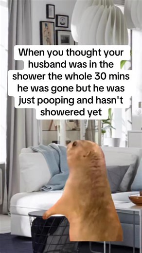5M views · 10K reactions | When you thought he was in the shower for 30 mins… but he was just in a deep poop meditation 律‍♂️#relatable #relationship #couple #fypシ゚ #fyp | Manbir Dhillon | Facebook