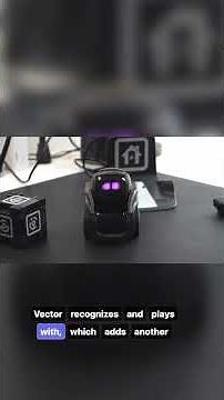 Meet the Desk Robot That Actually Talks Back 🤖 (Vector 2.0 + ChatGPT)