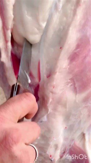 meat cutting#animalcare