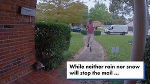 Angry possum sends deliveryman running in terror