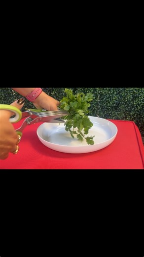 Watch Herb scissors with five blades on Amazon Live